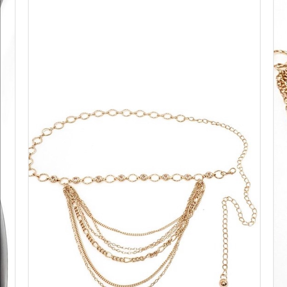 Chain Belt - Picture 2 of 2